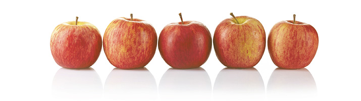 Row of apples